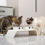 Raised Dog Feeder – 2 Stainless Steel Bowls