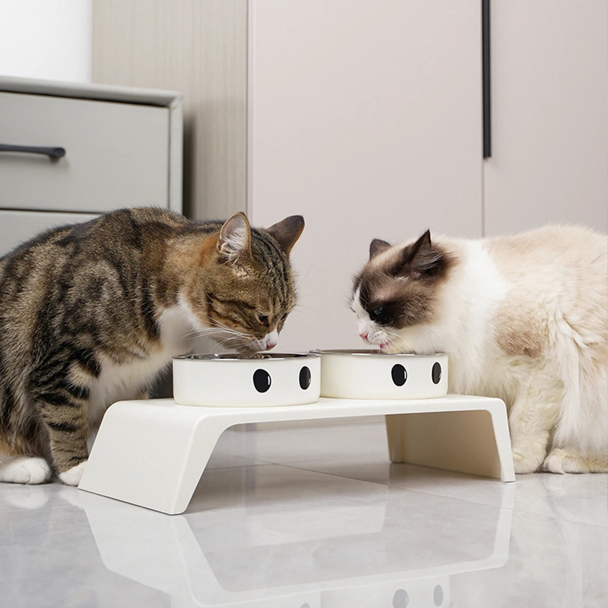 Raised Dog Feeder – 2 Stainless Steel Bowls