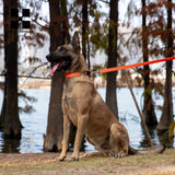Reflective AirTag Dog Collar with Breakaway Buckle, Lightweight Nylon
