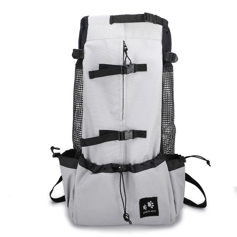 Reflective Motorcycle Dog Backpack with Cushioned Base