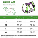 Padded Reflective Dog Harness Vest with Quick-Release Buckles