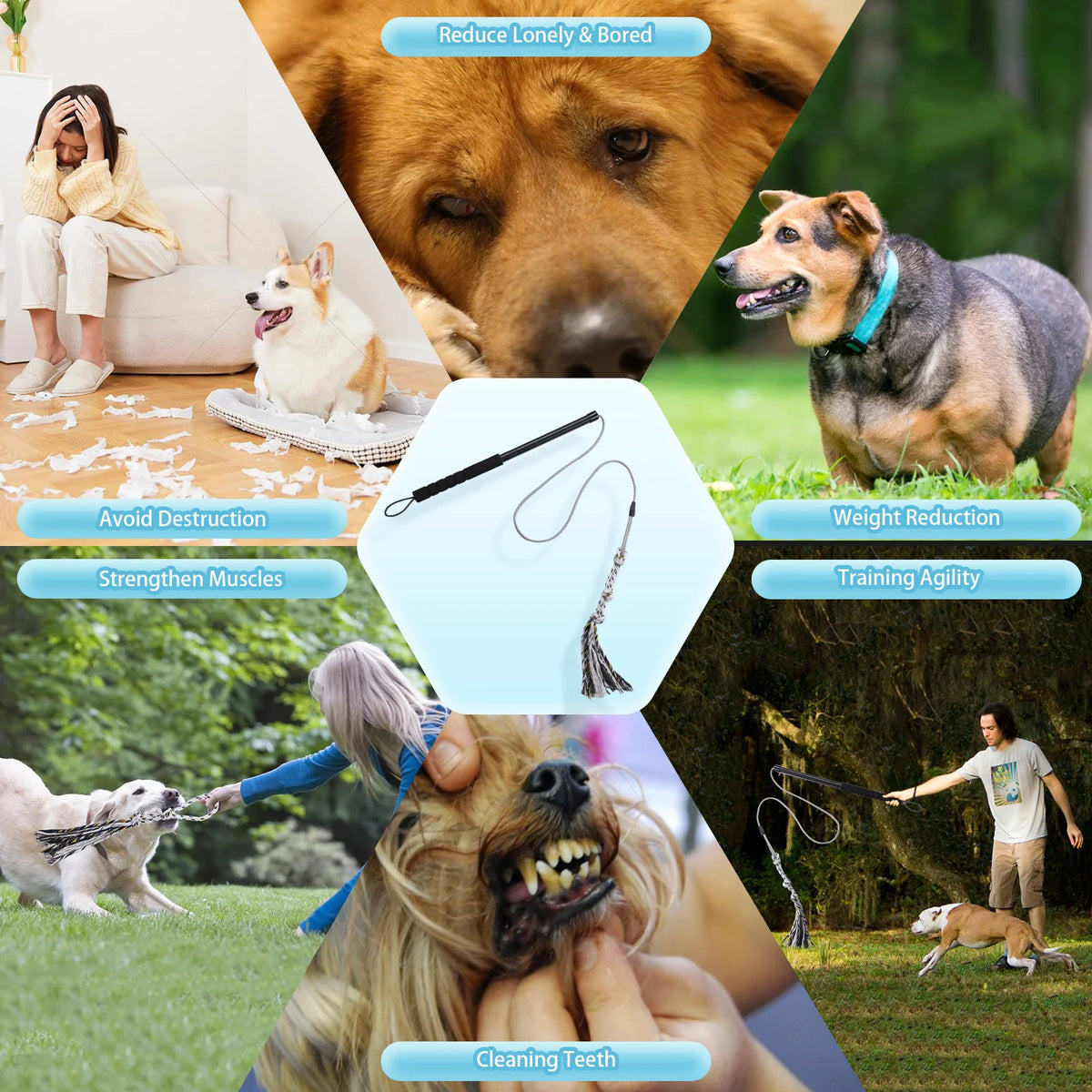 Flirt Pole for Dogs with Rope Lure, Interactive Exercise Toy