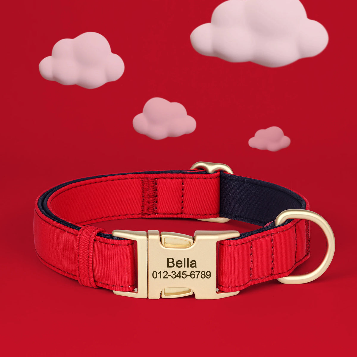 Personalized Padded Dog Collar with Engraved Gold Buckle