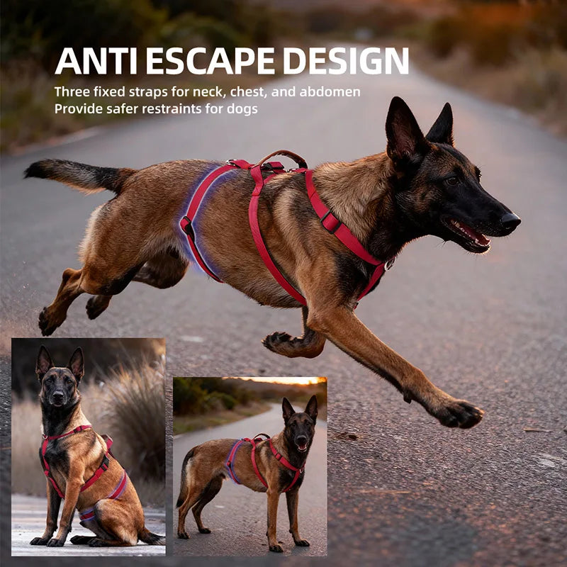 Three-Strap Escape Resistant Harness for Medium and Large Dogs