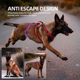 Three-Strap Escape Resistant Harness for Medium and Large Dogs