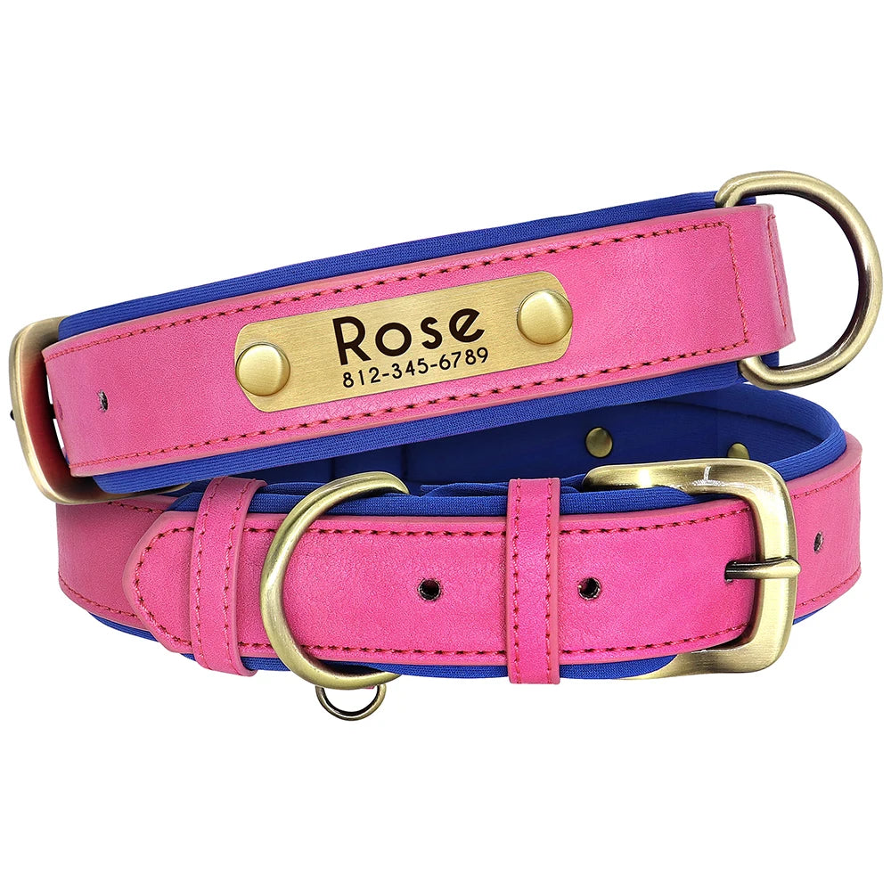 Personalized Dog Collar and Leash Set with Engraved Nameplate