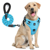 No Pull Dog Harness and Leash Set with Front and Back Clips