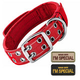 Tactical Dog Collar with Handle, Double Buckle and Patches