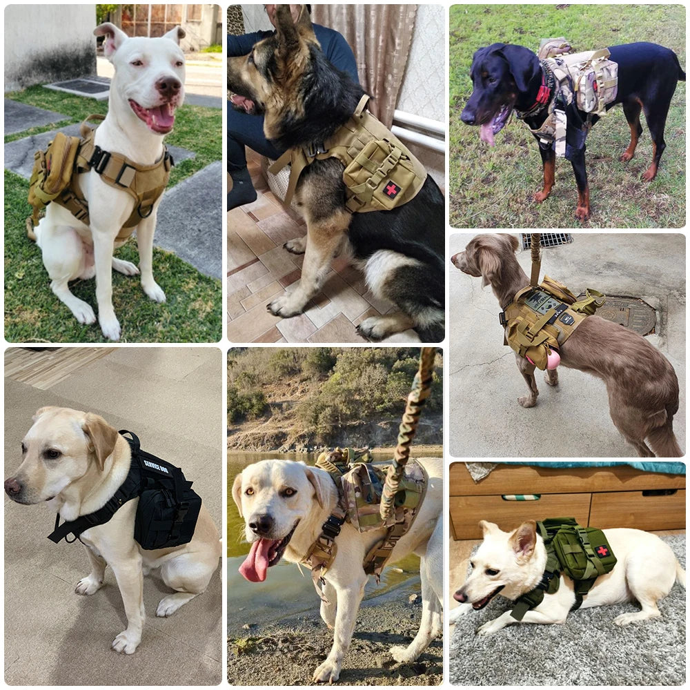Tactical Dog Harness with Handle for Large Dogs, S to XL Sizes