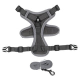 Reflective Dog Harness and Leash Set for Small Dogs