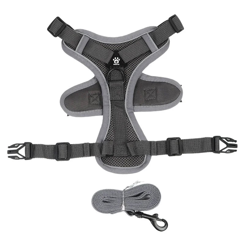 Reflective Dog Harness and Leash Set for Small Dogs