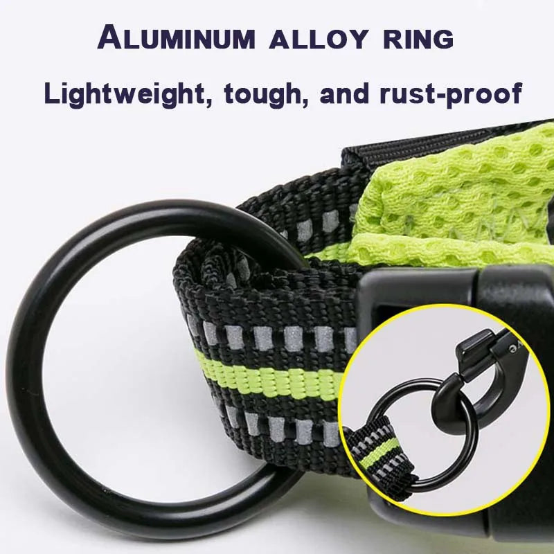 Soft Padded Dog Collar with Mesh Lining for Small to Large Dogs