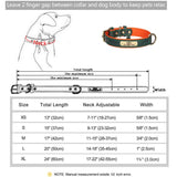 Personalized Leather Dog Collar with Engraved Nameplate ID Tag