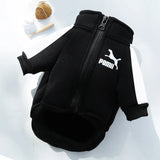 Dog Baseball Jacket for Fall and Winter