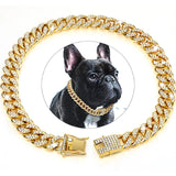 Cuban Link Dog Collar, Jeweled Stainless Steel Chain