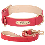 Personalized Leather Dog Collar with Engraved Nameplate, Pin Buckle