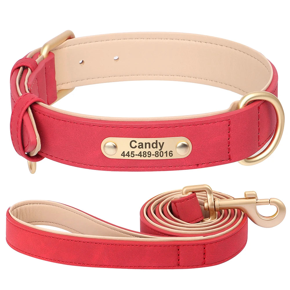 Personalized Leather Dog Collar with Engraved Nameplate, Pin Buckle
