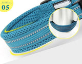 Heavy Duty Padded Dog Collar for Large Dogs, Reflective Nylon