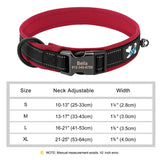 Custom Padded Nylon Dog Collar with Engraved Phone Number
