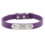 Personalized Dog Collar with Engraved Name Plate, 16 Colors
