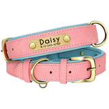 Personalized Dog Collar and Leash Set with Engraved Nameplate