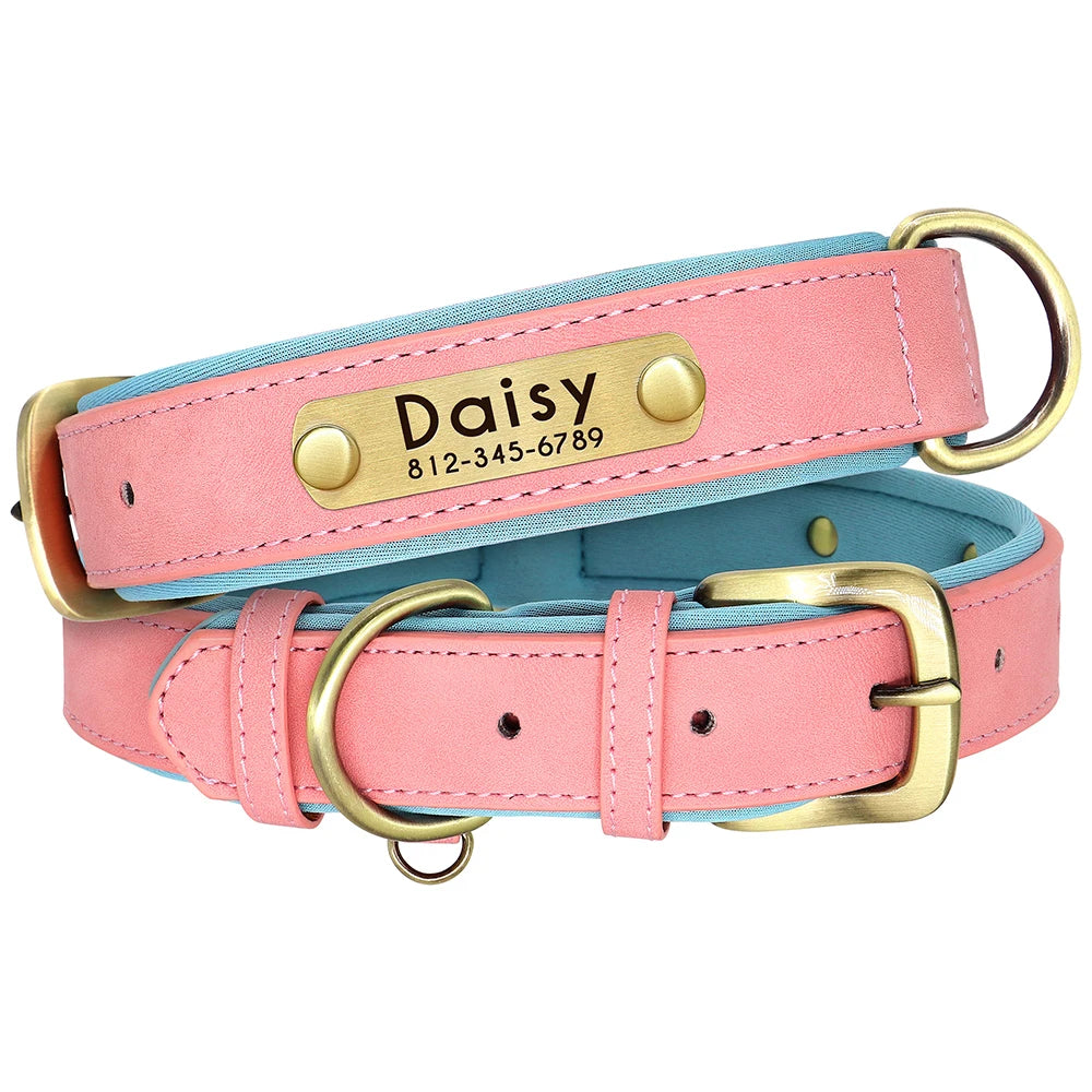 Personalized Dog Collar and Leash Set with Engraved Nameplate