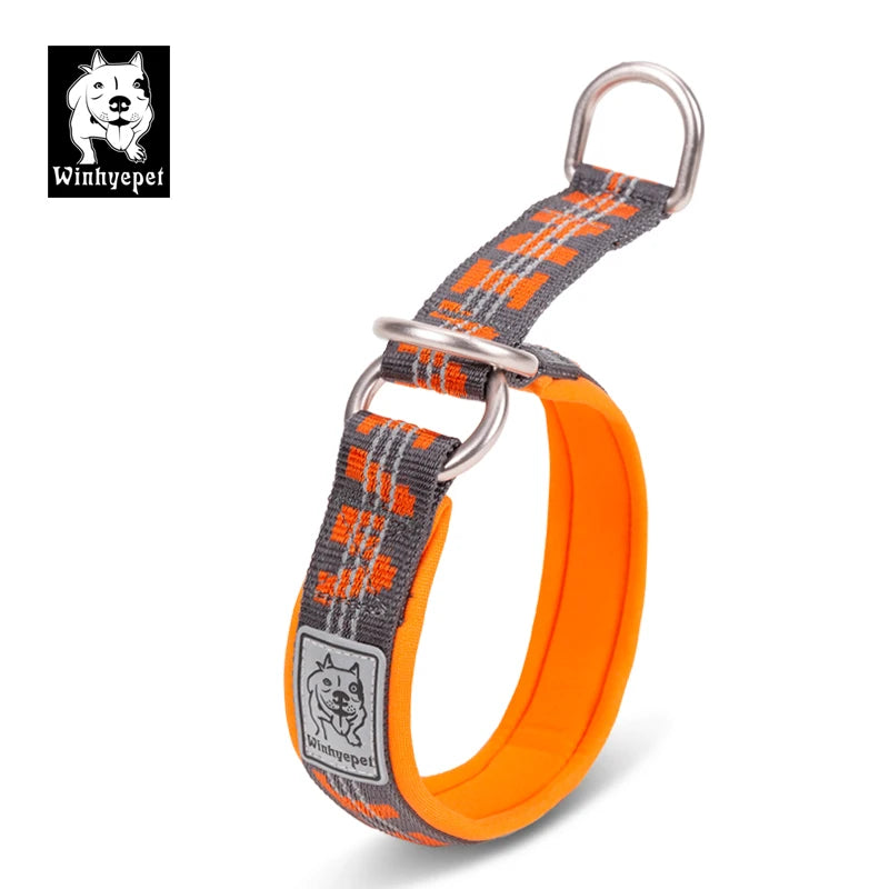 Martingale Dog Collar with Neoprene Padding and Reflective Stitching