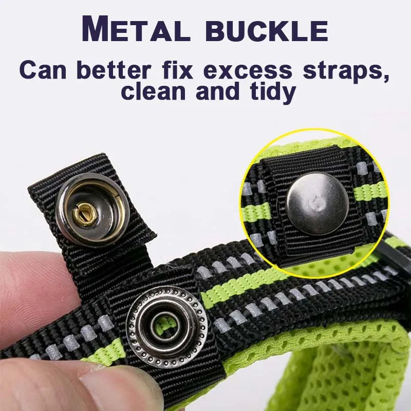 Soft Padded Dog Collar with Mesh Lining for Small to Large Dogs