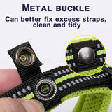 Soft Padded Dog Collar with Mesh Lining for Small to Large Dogs