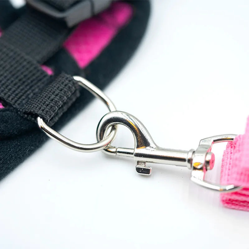 Mesh Dog Harness and Leash Set for Puppies and Small Dogs