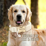 Personalized Velvet Dog Collar with Engraved Name ID Tag