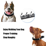 Stainless Steel Prong Training Collar with Quick Release Buckle