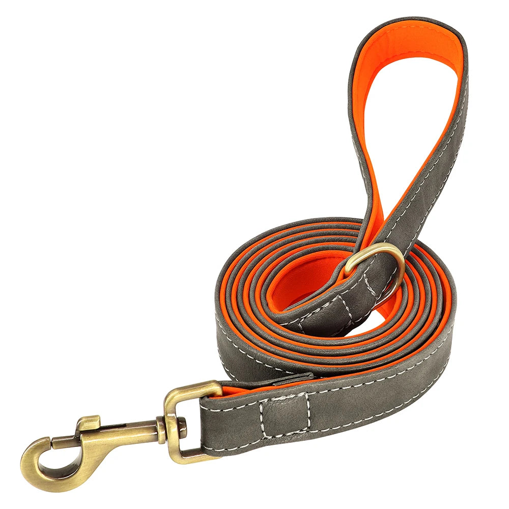 Personalized Dog Collar and Leash Set with Engraved Nameplate