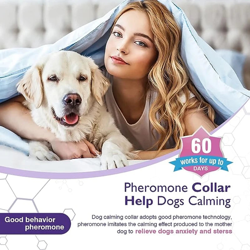 Dog Calming Collar Multi-Pack, 3 or 4 Adjustable Collars
