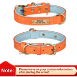 Personalized Leather Dog Collar with Engraved Nameplate ID Tag