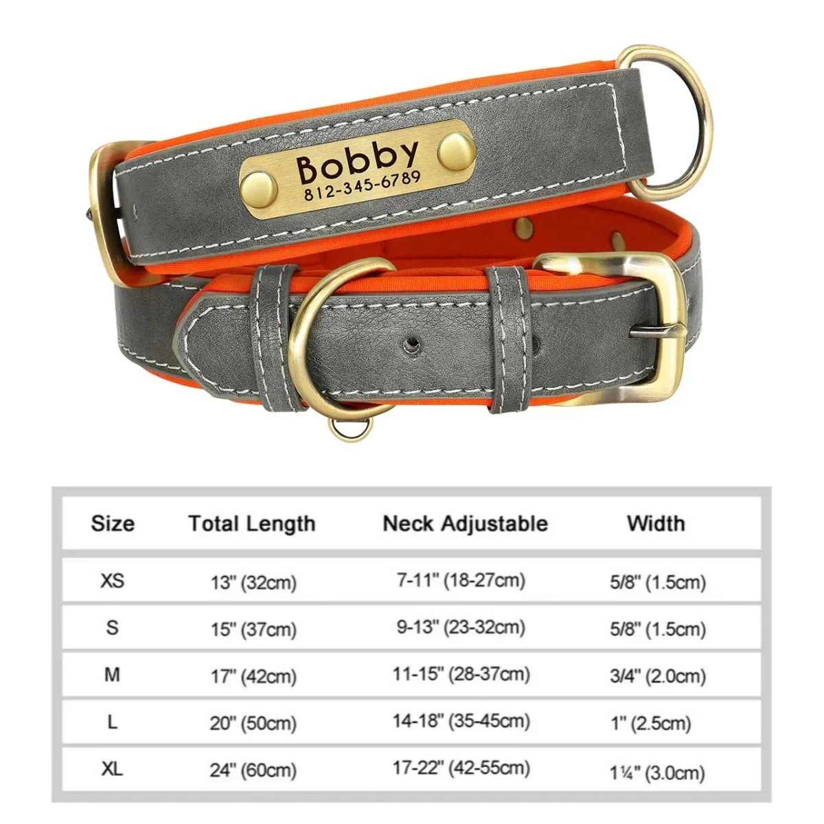 Personalized Padded Leather Dog Collar with Engraved Nameplate