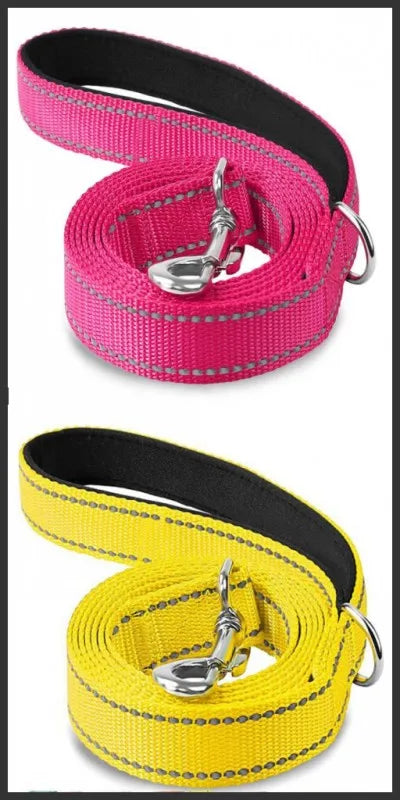 Reflective Nylon Dog Leash with Padded Handle, 4, 5 or 6 ft