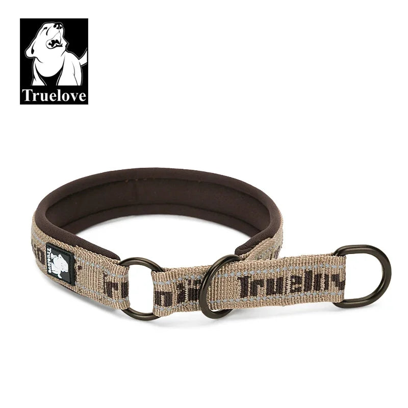 Reflective Martingale Collar for Dogs That Pull, Padded Nylon