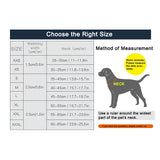Reflective Neoprene Padded Dog Collar for Hiking and Running