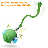 Automatic Rolling Ball Toy for Dogs, Rechargeable with 3 Modes