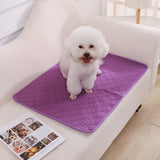 Washable Dog Pee Pad, Reusable Puppy Training Mat with Non-Slip Back