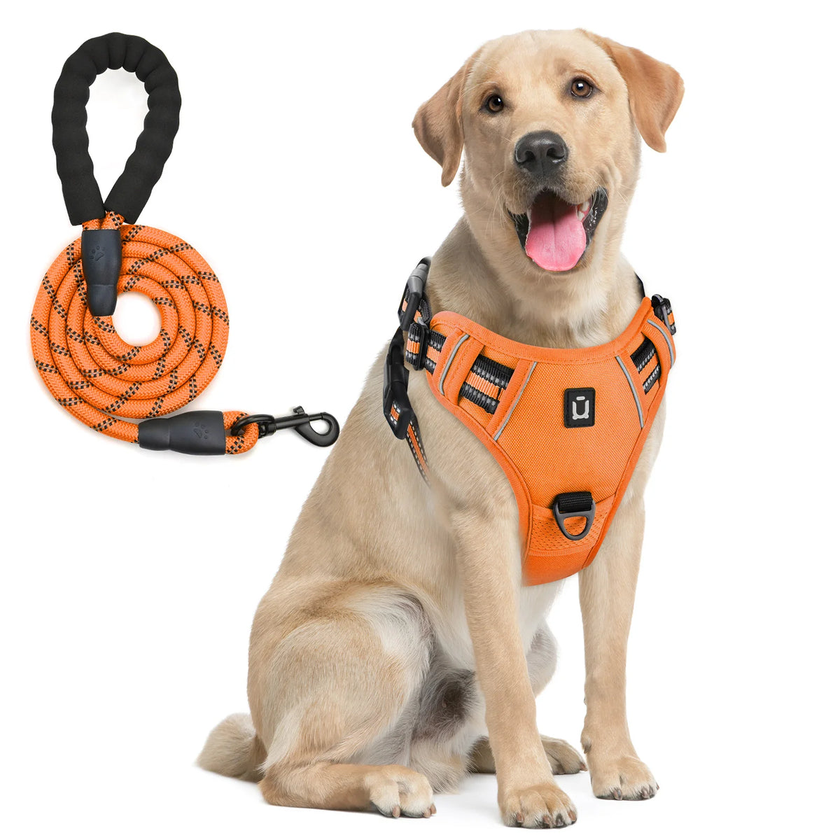No Pull Dog Harness and Leash Set with Front and Back Clips