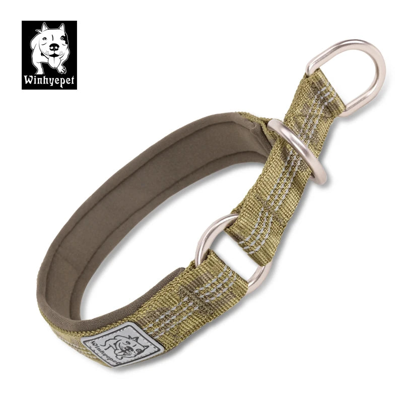 Martingale Dog Collar with Neoprene Padding and Reflective Stitching