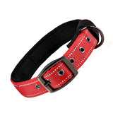Padded Reflective Dog Collar with Metal Buckle, Medium to Large Dogs
