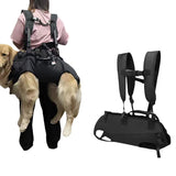 Dog Sling Carrier Backpack for Motorcycle Rides and Walks