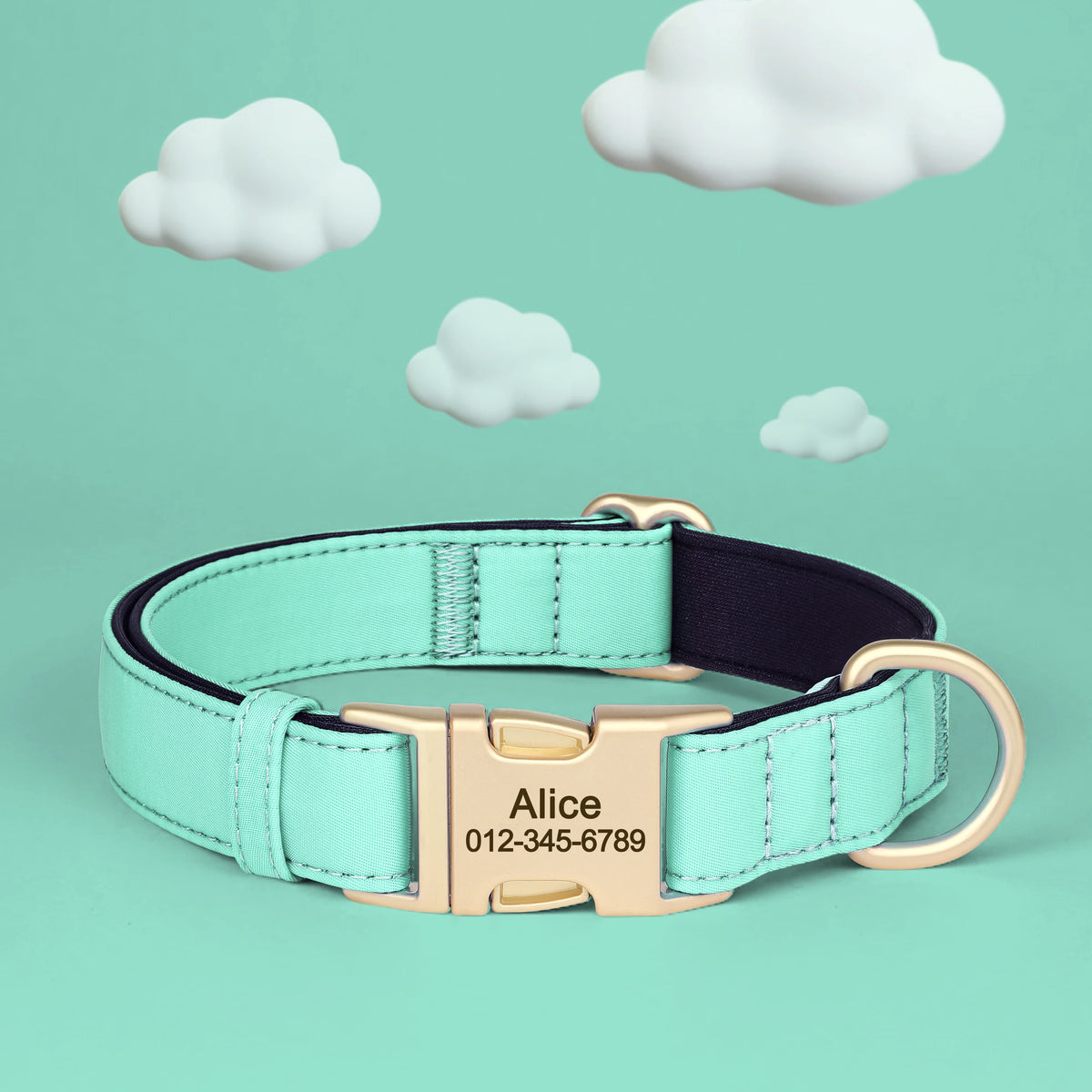 Personalized Padded Dog Collar with Engraved Gold Buckle