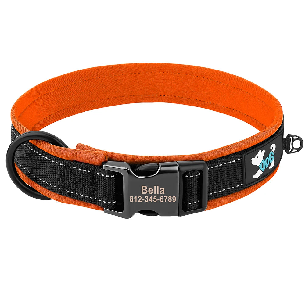 Personalized Dog Collar with Engraved Buckle, Reflective & Padded