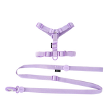 Adjustable Puppy Harness, Collar and Leash Set in Macaron Colors