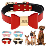Personalized Bow Dog Collar with Rhinestones for Small Dogs