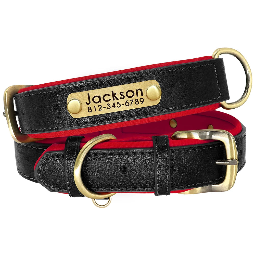 PU Leather Dog Collar with Engraved Nameplate ID Tag, Padded